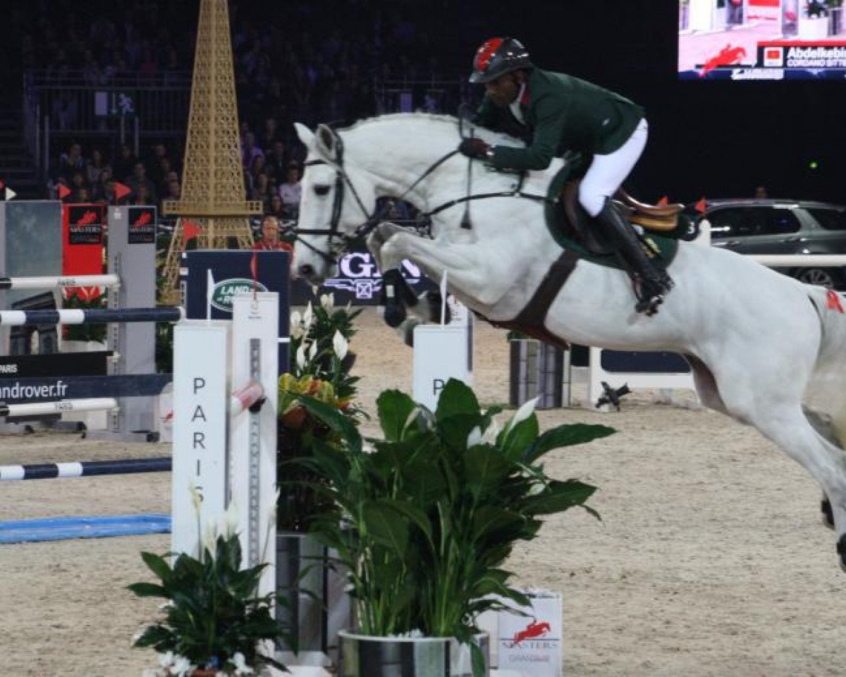 stallion Cordano Sitte Z (Zangersheide riding horse, 2002, from Carthago)