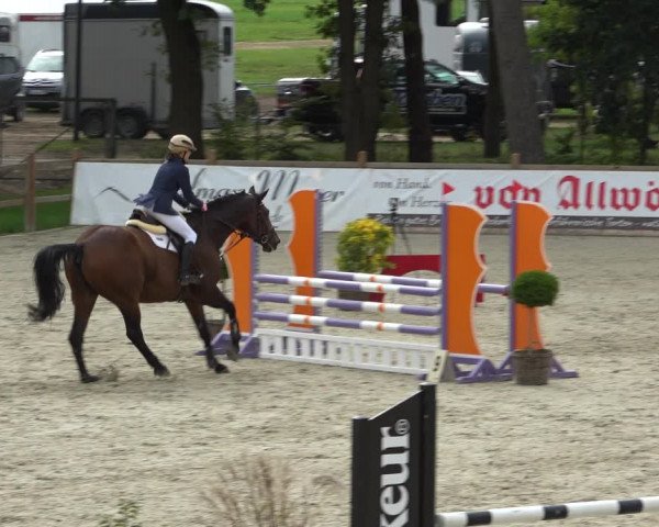 Reitturnier Westergellersen 2021