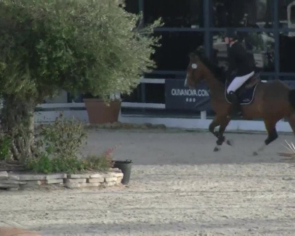 MET III Oliva - Woche 1 (ESP) 2020