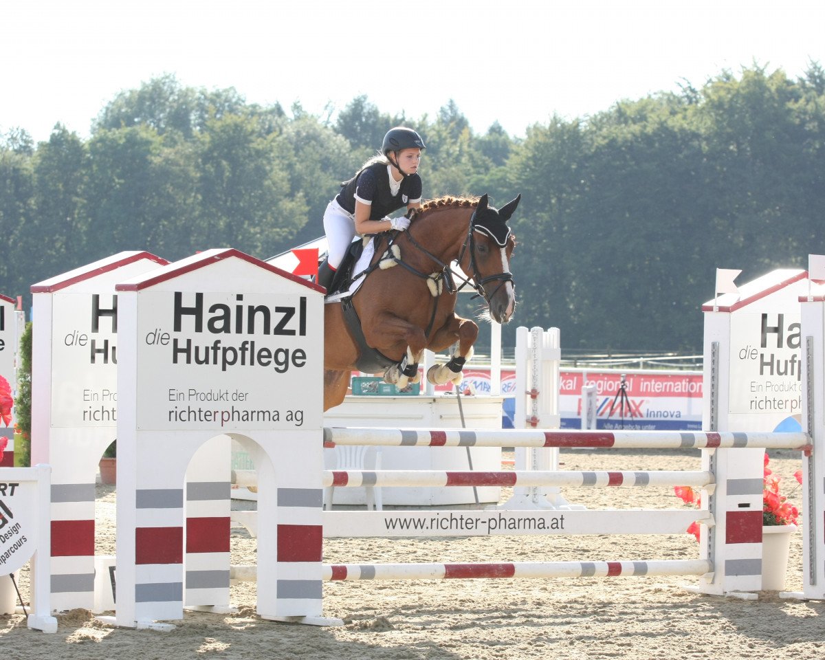 dressage horse Dolce Vita (Hanoverian, 2008, from Wie Weltmeyer)