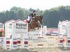 dressage horse Dolce Vita (Hanoverian, 2008, from Debütant)