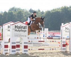 dressage horse Dolce Vita (Hanoverian, 2008, from Debütant)