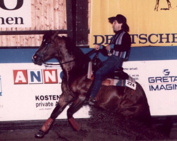 stallion Doc Tivio Higgins (Quarter Horse, 1991, from Docowarlee)