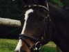 broodmare Caprice (Rhinelander, 1996, from Captain)