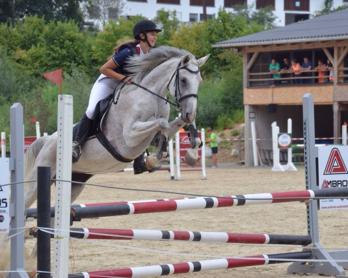 horse Kiss me (Oldenburg show jumper, 2003, from Corrado I)