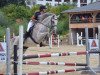 horse Kiss me (Oldenburg show jumper, 2003, from Corrado I)