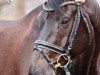 dressage horse Ramira 399 (Westphalian, 2006, from Rockford)