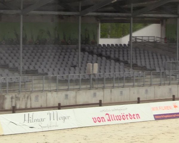 Berufsreitertreffen Westergellersen II 2020