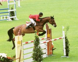 Zuchtstute Lysandra KB (Schweizer Warmblut, 1992, von Lysander)