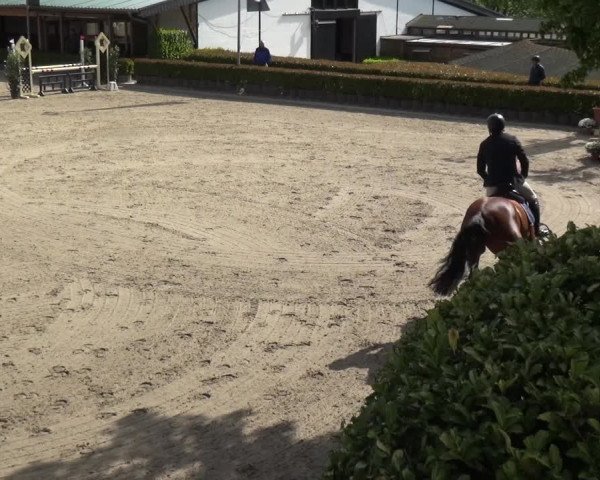 Reitturnier Wipperfürth-Kreuzberg 2020