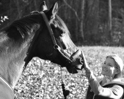 dressage horse Fortuna K (Hanoverian, 2010, from Fürst Romancier)