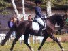 jumper Darleen HR (Hanoverian, 2011, from De Niro)