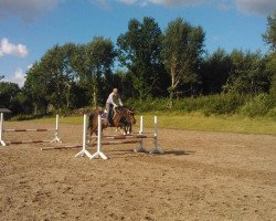 dressage horse Liane (New Forest Pony, 2006, from Samba King)