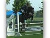 jumper Captain 42 (Oldenburg show jumper, 2010, from Charisma)