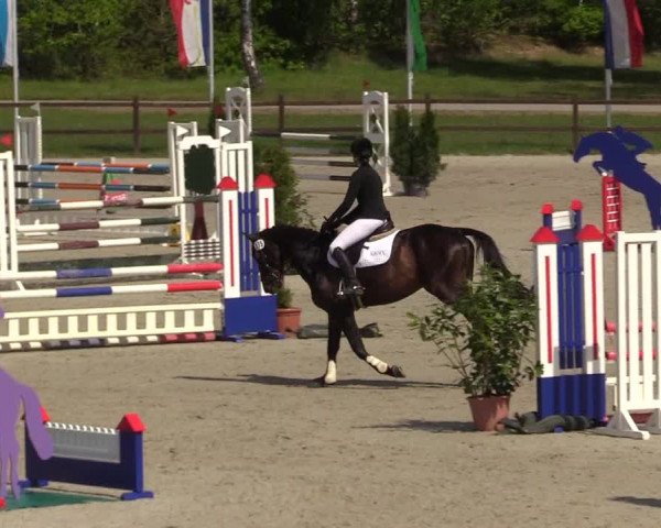 Springturnier Westergellersen III 2020