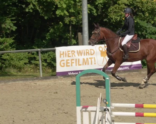Reitturnier Leingarten 2021