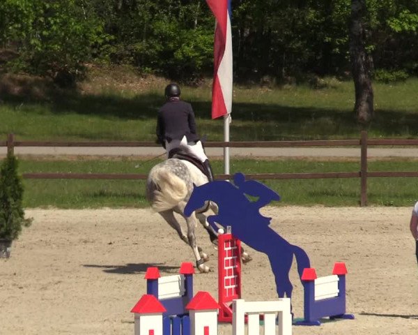 Springturnier Westergellersen III 2020