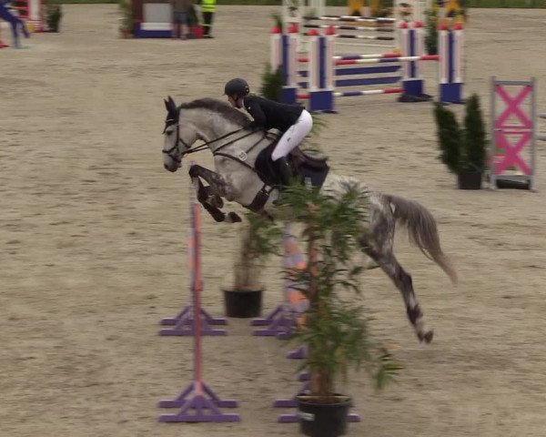 Springturnier Westergellersen III 2020