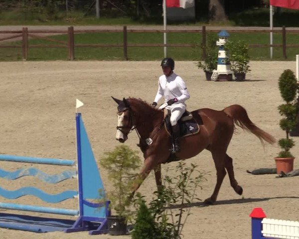 Springturnier Westergellersen III 2020