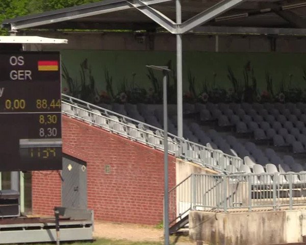 Springturnier Westergellersen III 2020