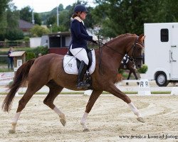 dressage horse Gut Saalhoff's Lovestoned (Westphalian, 2008, from Lugato)