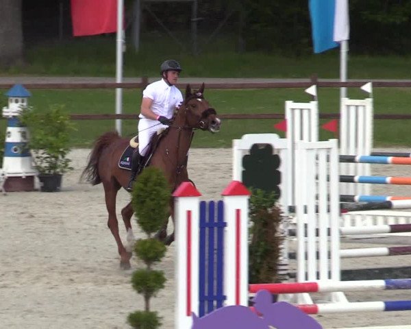 Springturnier Westergellersen III 2020