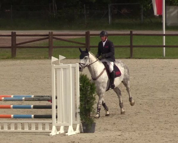 Springturnier Westergellersen III 2020
