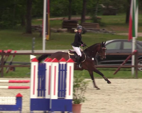 Springturnier Westergellersen III 2020