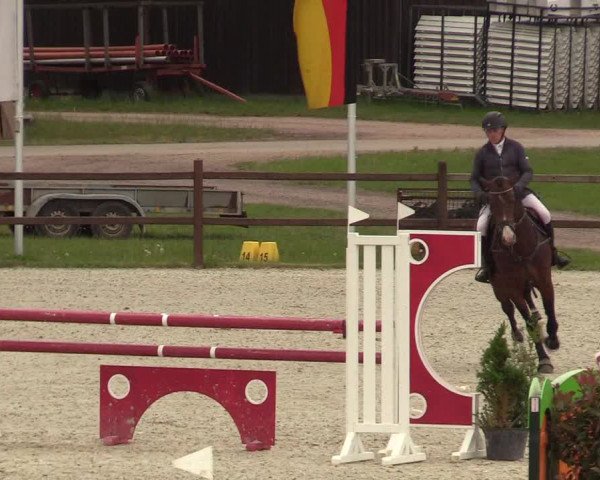Springturnier Westergellersen III 2020