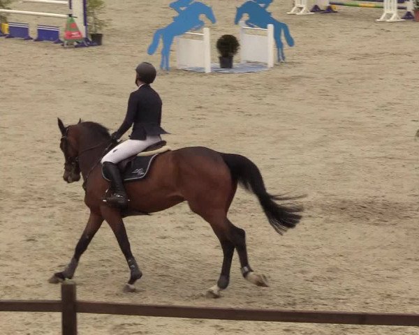 Springturnier Westergellersen III 2020