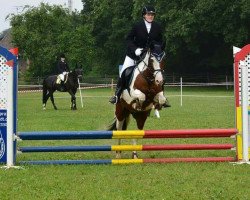 jumper Assilabico (German Warmblood, 2006)