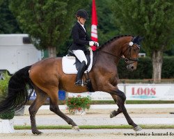 dressage horse Richmond R (Württemberger, 2010, from Riccione)