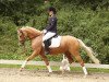 dressage horse Call me the Breeze (German Riding Pony, 2011, from Can Dance 3)