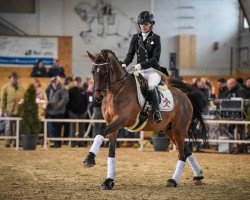 stallion Ludigen's Classic Champ (Westphalian, 2009, from Classic Dancer I)