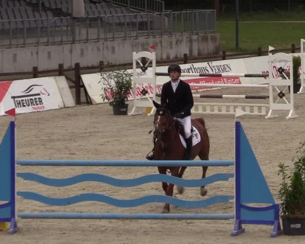 Springturnier Westergellersen III 2020