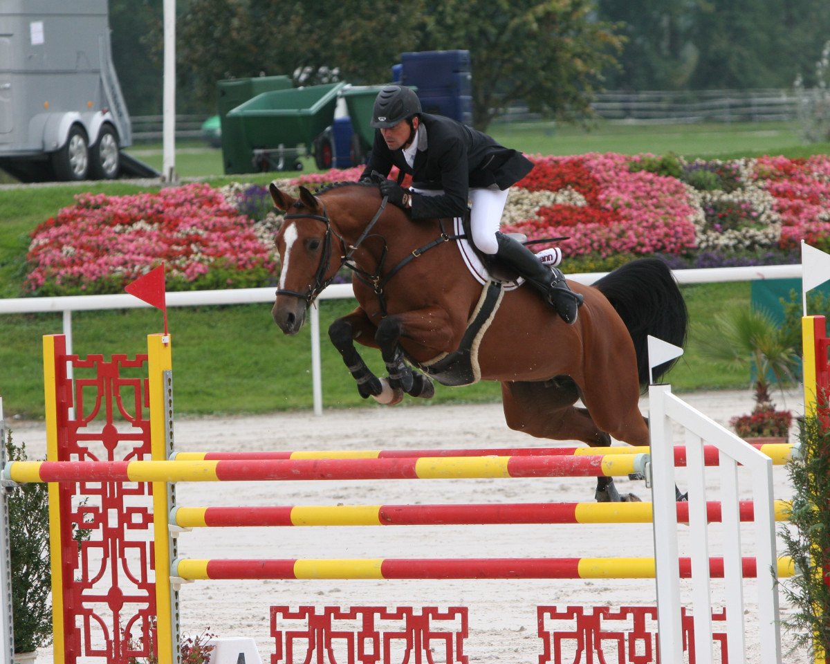 broodmare Karondina V.schl'Hof CH (Swiss Warmblood, 2002, from Karondo vom Schlösslihof)