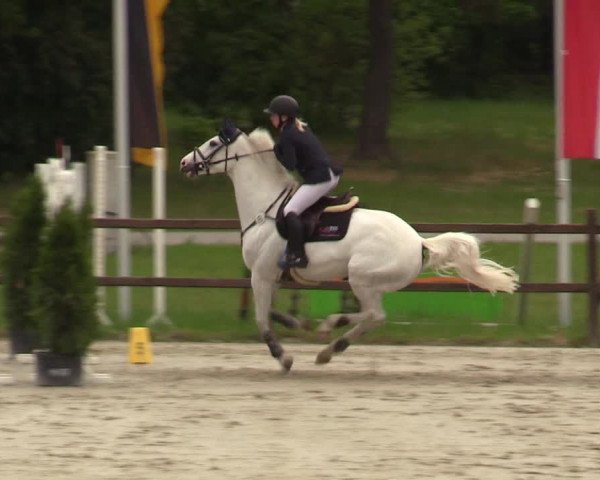 Springturnier Westergellersen III 2020