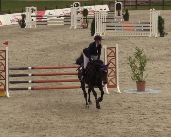 Springturnier Westergellersen III 2020