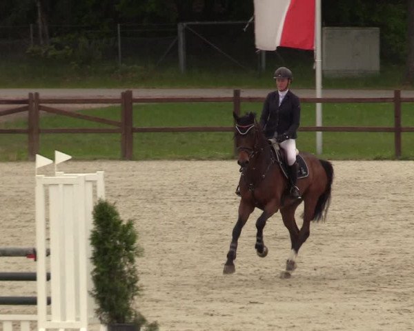 Springturnier Westergellersen III 2020