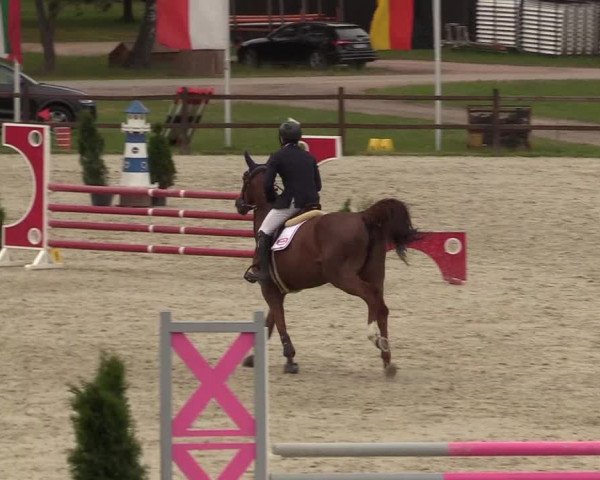 Springturnier Westergellersen III 2020