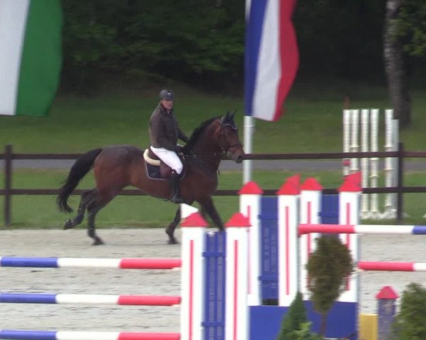 Springturnier Westergellersen III 2020