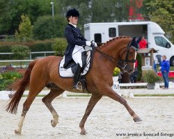 dressage horse White-Wings (Hanoverian, 1999, from Wolkentanz I)