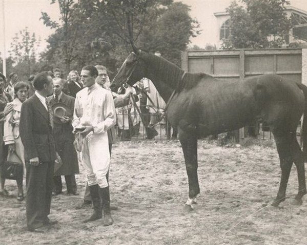 horse Brown Hope xx (Thoroughbred, 1940, from Werwolf xx)