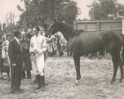 horse Brown Hope xx (Thoroughbred, 1940, from Werwolf xx)