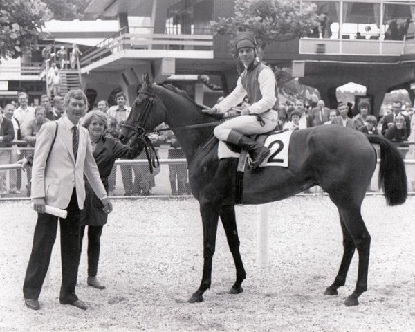 horse Bronzfield xx (Thoroughbred, 1981, from Lombard xx)