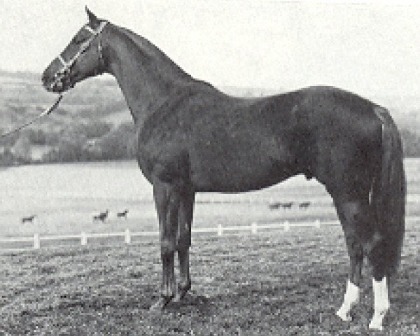 stallion Linden Tree xx (Thoroughbred, 1968, from Crepello xx)