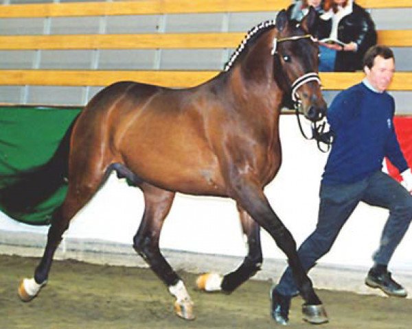 stallion Lord Swiss (Bavarian, 1999, from Lord Sinclair I)