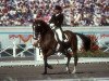 dressage horse Ahlerich 2 (Westphalian, 1971, from Angelo xx)