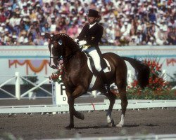 dressage horse Ahlerich 2 (Westphalian, 1971, from Angelo xx)