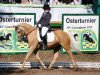 dressage horse Cognac v.S. (German Riding Pony, 1997, from Croupier)